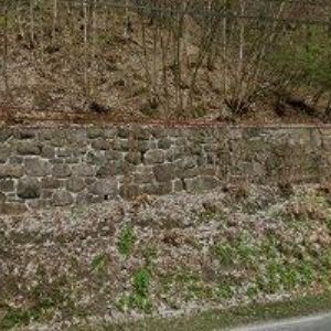 obrazek: avatar LESNÍ SPOLEČNOST TRONEKO , s.r.o.
