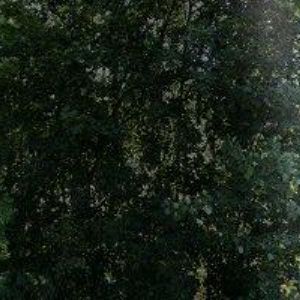 obrazek: avatar EKOSLIDE , spol. s r.o.