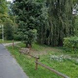 DĚTSKÁ LÁZEŇSKÁ LÉČEBNA LÁZNĚ KYNŽVART