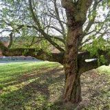 VĚŠTÍRNA PYTHIA-KARLOVY VARY