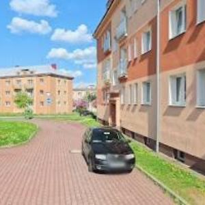 obrazek: avatar JUNÁK-ČESKÝ SKAUT