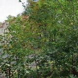 REFIL , spol. s r.o.