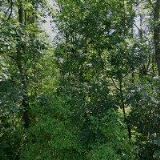 TEMA KLÁŠTEREC NAD OHŘÍ s.r.o.