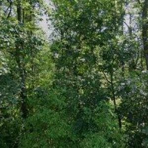 obrazek: avatar TEMA KLÁŠTEREC NAD OHŘÍ s.r.o.