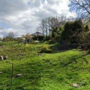 obrazek: avatar CHVOJKA JINDŘICH