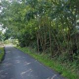 IGARDEN.CZ & ALTANEX.CZ