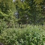 KRAJSKÁ HYGIENICKÁ STANICE KARLOVARSKÉHO KRAJE