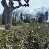 ŘÍMSKOKATOLICKÁ FARNOST Františkovy Lázně