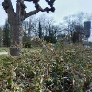 obrazek: avatar ŘÍMSKOKATOLICKÁ FARNOST Františkovy Lázně