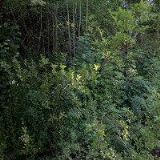 ZÁPADOČESKÁ KABELOVÁ TELEVIZE s.r.o.