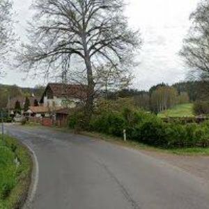 obrazek: avatar ČESKÝ RYBÁŘSKÝ SVAZ, MÍSTNÍ ORGANIZACE Nejdek