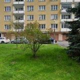 ČERVENKOVOVÁ KRISTINA PhDr.