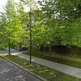 KNETLOVÁ MARIE PhDr.