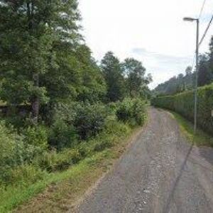 obrazek: avatar PROCHÁZKA PAVEL