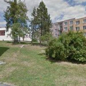 obrazek: avatar MEŠKO MARTIN