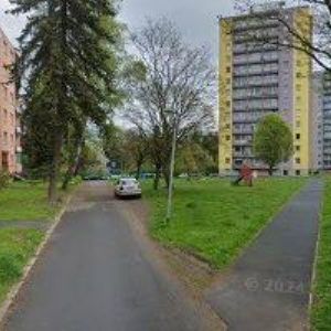 obrazek: avatar ČOP-TRADE