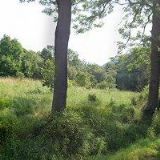 PRAŽÍRNA U KAPLIČKY s.r.o.