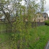 PEZL MAREK-TRUHLÁŘSTVÍ