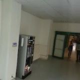 BALCAROVÁ TEREZA MUDr.