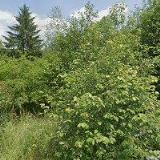 KLIMA-ELEKTRON s.r.o.