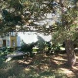 ŠVAJNEROVÁ LIBUŠE MUDr.