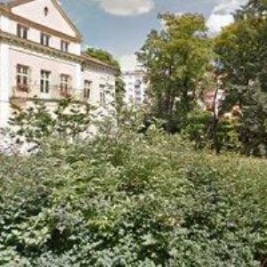obrazek: avatar DŮM DĚTÍ A MLÁDEŽE Karlovy Vary