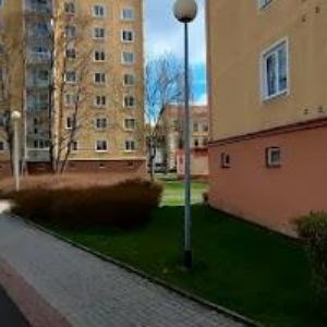 obrazek: avatar ÚZEMNÍ SDRUŽENÍ ČESKÉHO ZAHRÁDKÁŘSKÉHO SVAZU Sokolov