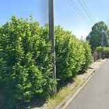 ÚZEMNÍ SDRUŽENÍ ČESKÉHO ZAHRÁDKÁŘSKÉHO SVAZU Cheb