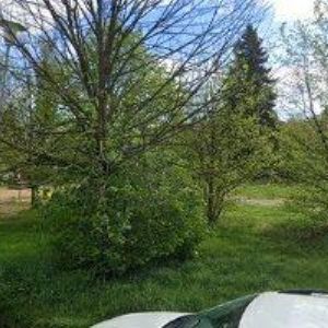 obrazek: avatar TIMA-OBCHODNĚ VÝROBNÍ SLUŽBY , spol. s r.o.