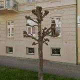 ČADA MIROSLAV-MINERÁLY