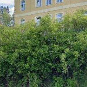 obrazek: avatar MANUFAKTURA SMYČCŮ WINKLER