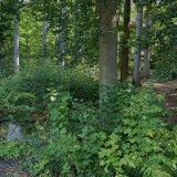 TENISOVÉ KURTY A LANOVÉ CENTRUM