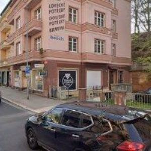 obrazek: avatar SEDLÁČKOVÁ PETRA