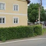 SVOBODOVÁ VILÉMA MUDr.