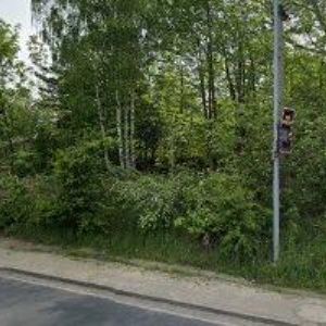 obrazek: avatar ELEKS