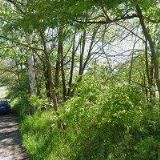 SALONEK MICHAELA-PŮJČOVNA SVATEBNÍCH ŠATŮ