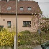 BERA-LEŠENÍ s.r.o.