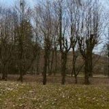 GLAS-LAMINATE s.r.o.