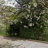 MĚSTSKÁ KNIHOVNA Mariánské Lázně