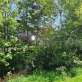 AK-RYBÁŘ PAVEL Mgr.