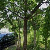 KRAK-CHEM SP. Z O.O.