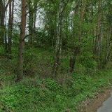 MATZ STANISLAV-SOFTWARE