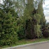 PROGAST S & N v.o.s.