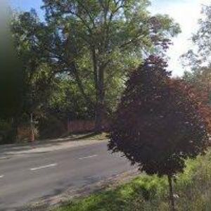 obrazek: avatar PAMADESSOFT