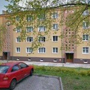 obrazek: avatar ROKO-KOTYZA ROBERT