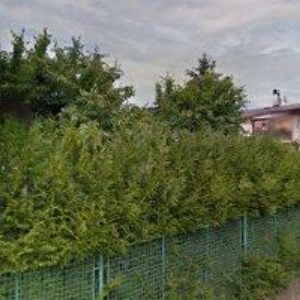 obrazek: avatar DOSTÁLOVÁ PETRA Mgr.