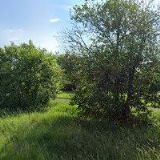 AGRO TRAVEL , spol. s r.o.