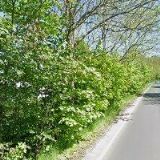 KOVOŠROT-MORAVIA CZ a.s.