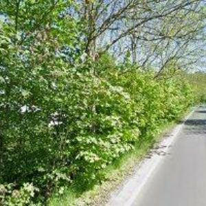 obrazek: avatar KOVOŠROT-MORAVIA CZ a.s.