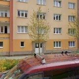 ROHANOVÁ VLADISLAVA